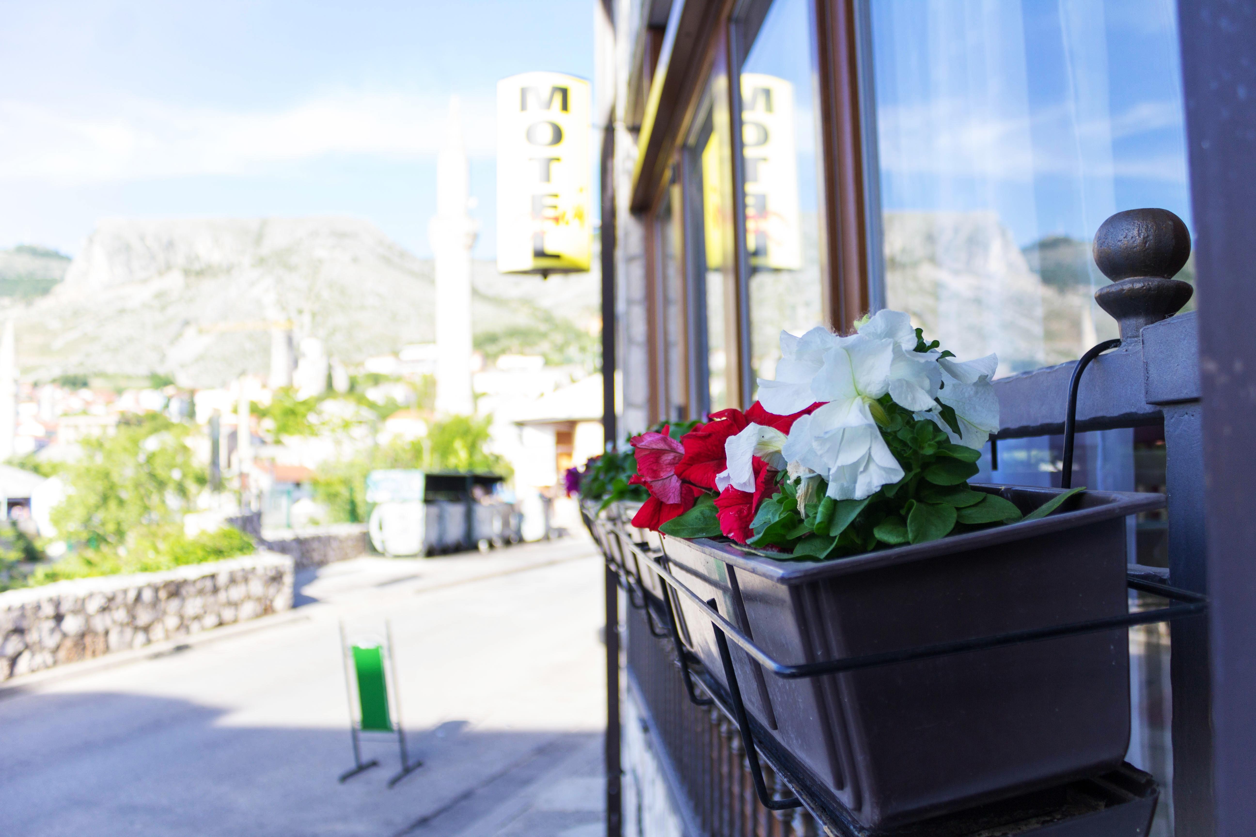 Villa Deny Mostar - With Free Parking المظهر الخارجي الصورة